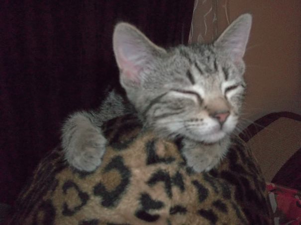 Little Evelyn After Playing.