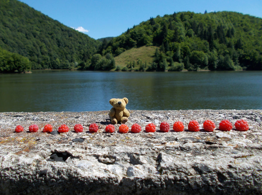 Turbo Bear Explores His Little World