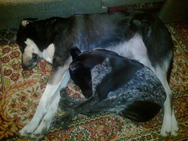 And Again Voodoo&zozo