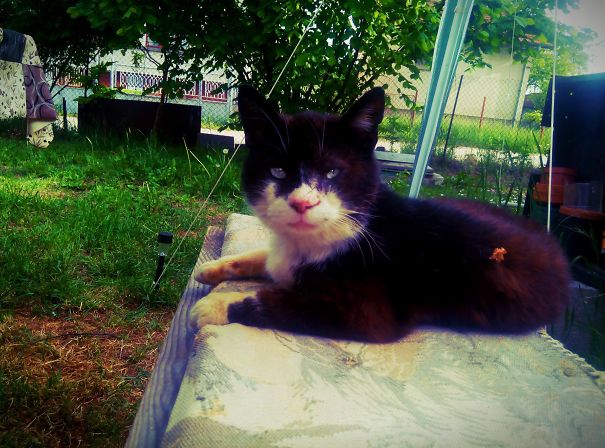 #21 Uncle Grandpa On 17 Years Old! Great Companion For Summer Days!