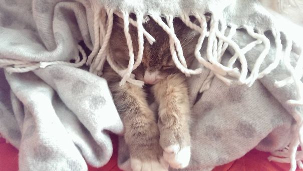 Feeling So Relaxed..