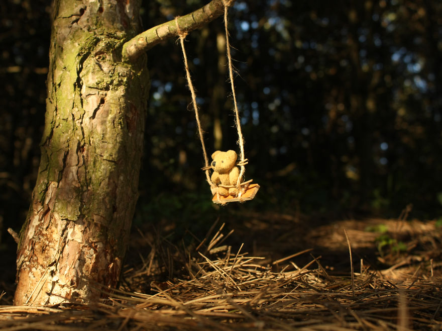 Turbo Bear Explores His Little World