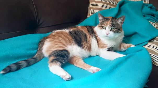 Melike. Had About 6, Maybe 8, Maybe 10 Years When I Adopted Her. Pure Love!