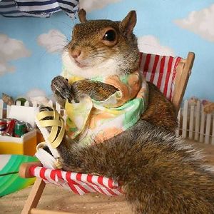 yossy_suksujit avatar