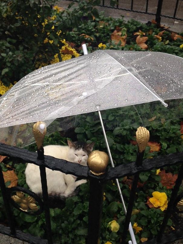 11 Of The Most Influential Images Of World