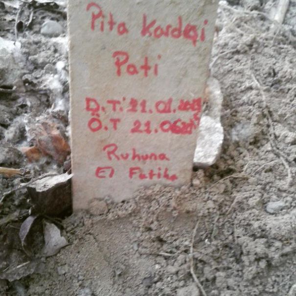 11 Of The Most Influential Images Of World 11 Of The Most Influential Images Of World