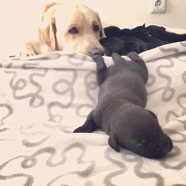 It's So Comfortable Here.