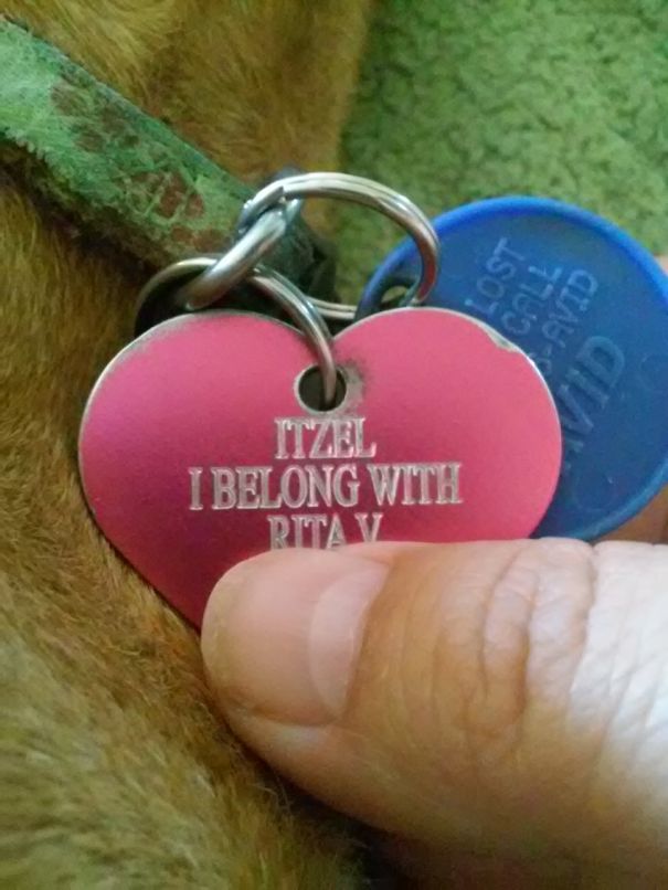 She's My Little Shadow.