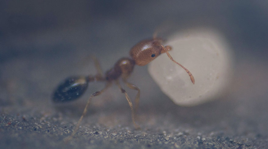 15-years-old-self-taught-photographer-martin-nittala-1