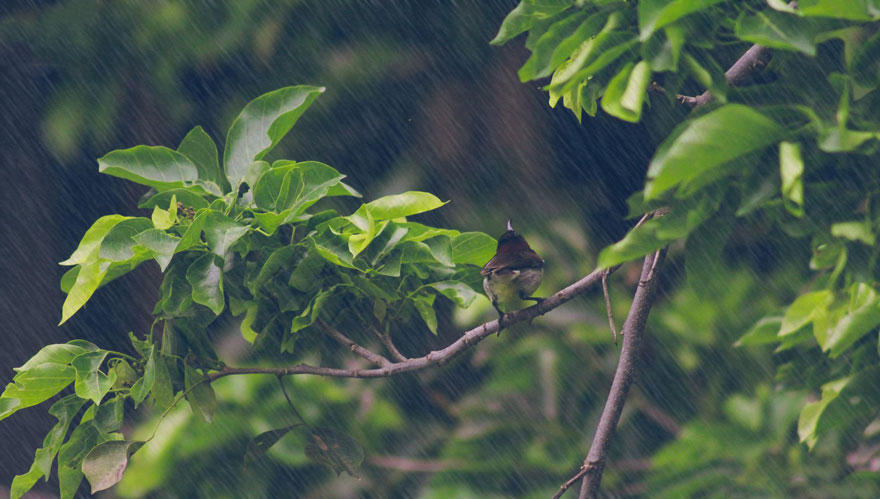 15-years-old-self-taught-photographer-martin-nittala-11 15-years-old-self-taught-photographer-martin-nittala-11