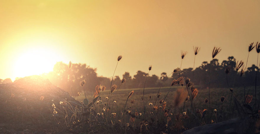 15-years-old-self-taught-photographer-martin-nittala-13 15-years-old-self-taught-photographer-martin-nittala-13