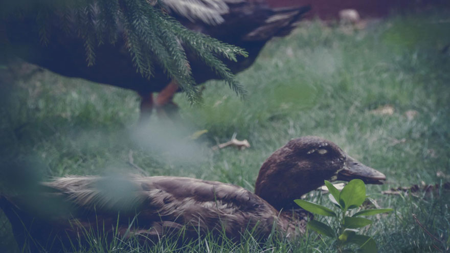 15-years-old-self-taught-photographer-martin-nittala-14 15-years-old-self-taught-photographer-martin-nittala-14