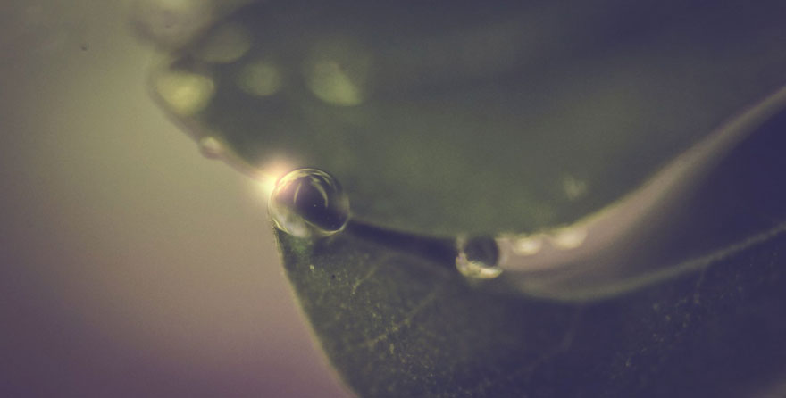 15-years-old-self-taught-photographer-martin-nittala-17 15-years-old-self-taught-photographer-martin-nittala-17