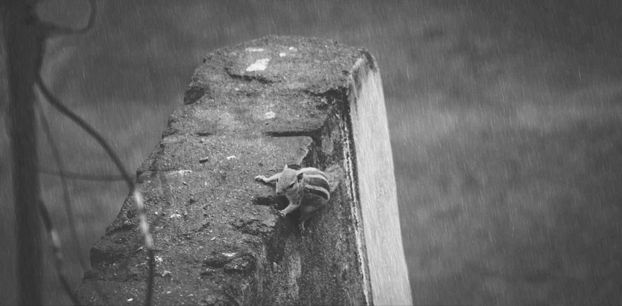 15-years-old-self-taught-photographer-martin-nittala-6