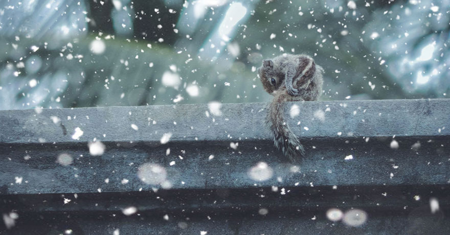 15-years-old-self-taught-photographer-martin-nittala-8 15-years-old-self-taught-photographer-martin-nittala-8