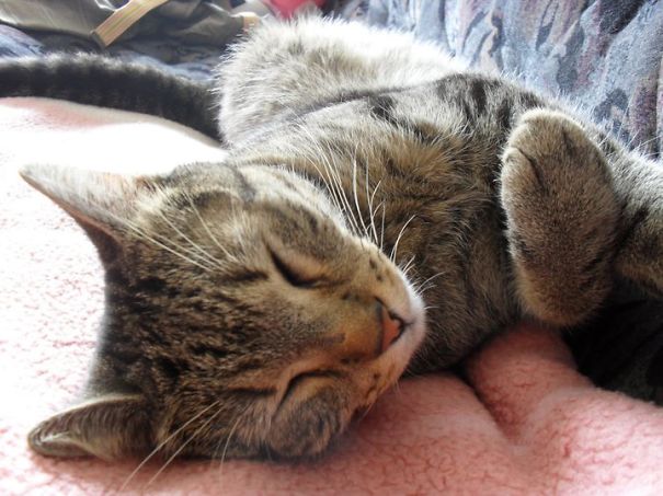 Fell Asleep After Few Hours Of Walking Outside