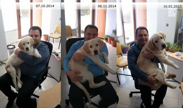 Grew Up At The Office... (sofia, Bulgaria)