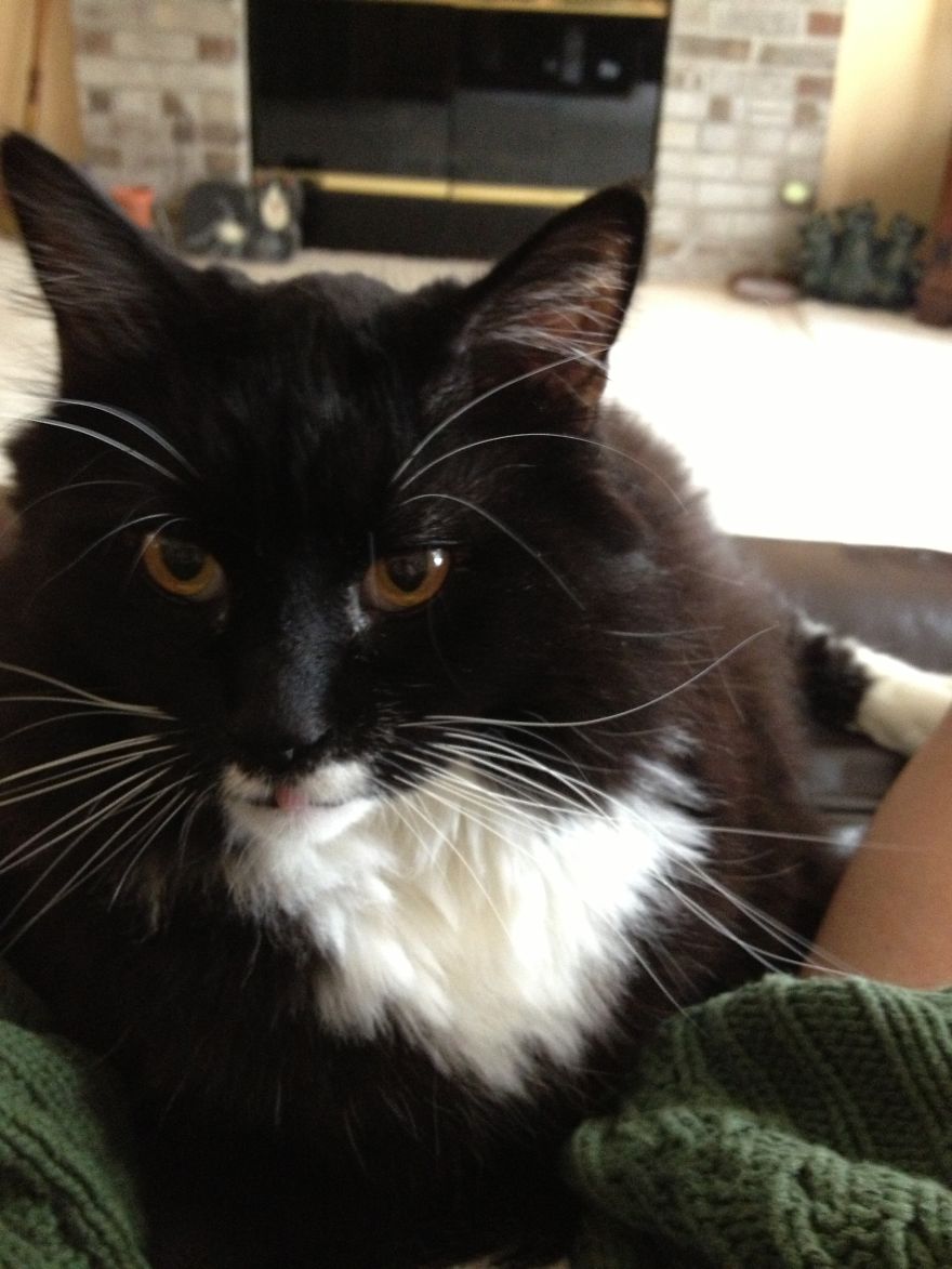 I See You.... Masturbating.