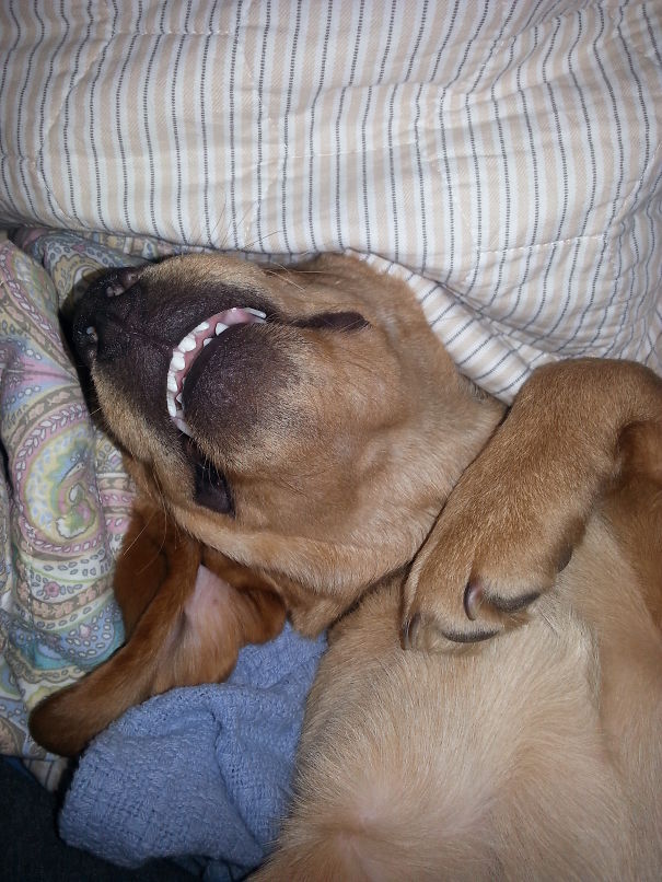 He Loves Sleeping In My Bed