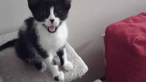 So Happy I Can't Contain It!