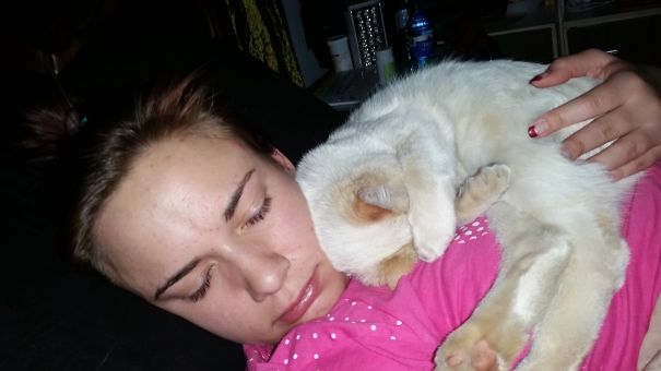 What's Better Than Cuddles In The Winter