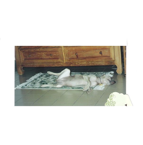 Pp The Sleeping Beauty!