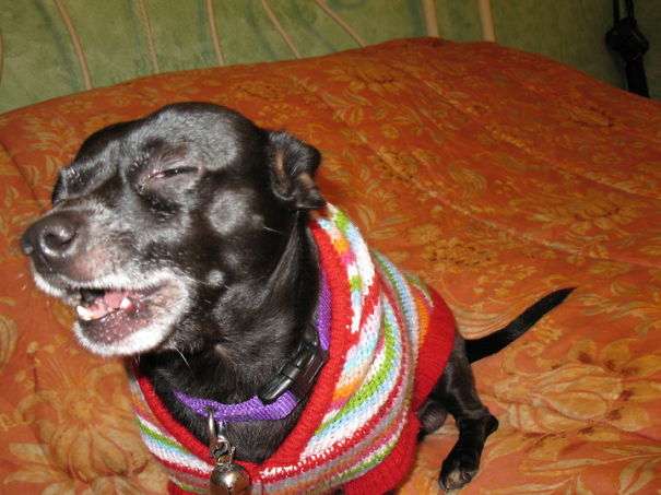 Weazie Loves To Sing.