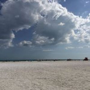 cat8whisperer avatar