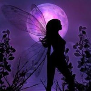 kimturneremail avatar