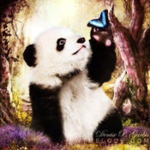 pandapaws avatar