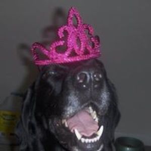 codyngoodrich avatar