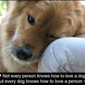 martinbrandl2040 avatar