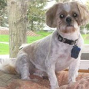 carolyn_a_allen avatar