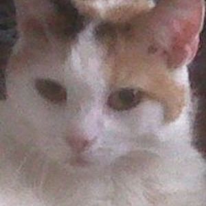 debbie_conner10 avatar