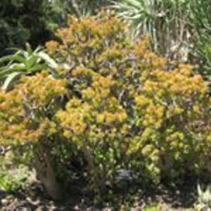 patpelland2002 avatar