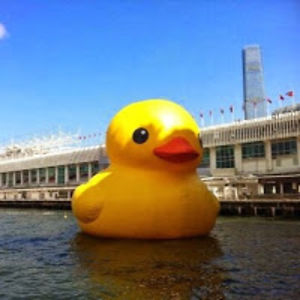 aprilsaclayan_1 avatar