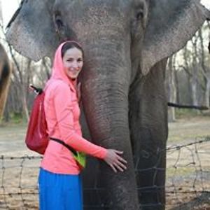 elligoroshenko avatar