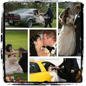 Estelina_Barata avatar