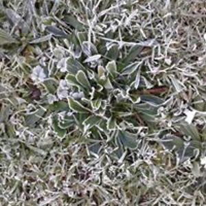 v8_trip_me_sideways avatar