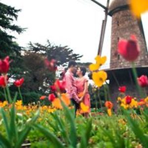 christaline_adrianti avatar