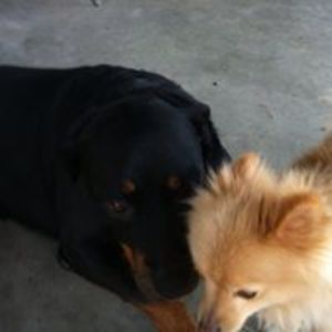 gailcheesecake avatar