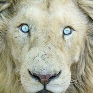 kellybdavis60 avatar