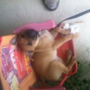 cynthiablancett avatar