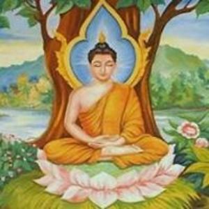 sunrising_unicorn avatar