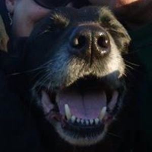 shayzzwayzz007 avatar