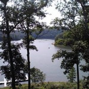 shelagh_bluebell avatar