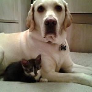 Christina_Regh avatar