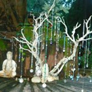 burlingamecatlady avatar