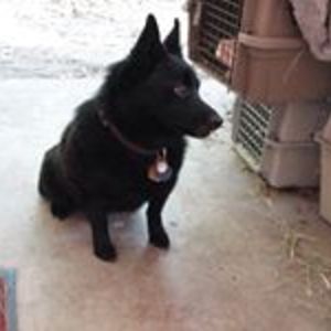 summerhorse_geo avatar