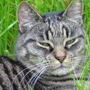 reinhilde_lenaers avatar